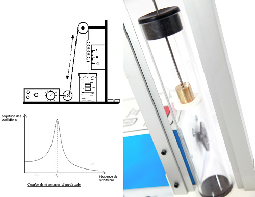 Forced oscillations and resonance: EXP100030 4/4