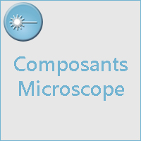 COMPOSANTS MICROSCOPE