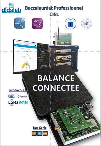 Systmes Bac Pro CYBERSCURIT, INFORMATIQUE ET RSEAUX, ELECTRONIQUE (CIEL) (Rf : BAC PRO CIEL) 1/4