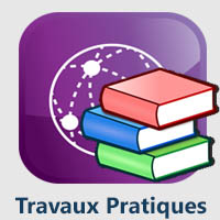  Travaux Pratiques