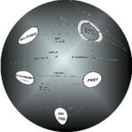 Noyau temps réel pour la carte cible EID210