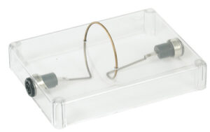 Circuit projetable "circulaire" : PAM067730