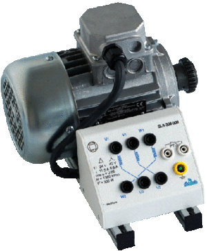 Moteur TBTS AC triphasé à cage 300 W (Réf : ELS303000)