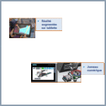 Système d’Assemblage séquentiel pneumatique des corps de boutons